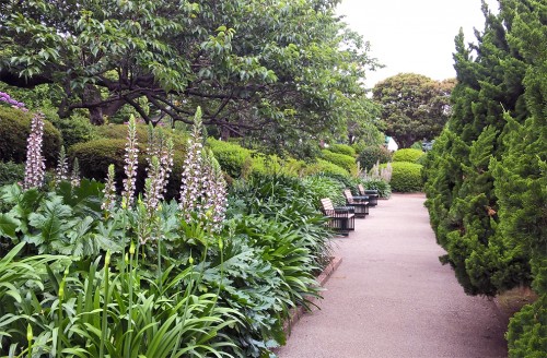 Rangée de bancs dans une allée fleurie du parc minatonomieruoka à Yokohama