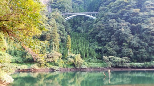 Forest therapy ou forêt-thérapie dans le parc naturel de Yabegawa, Kyūshū 