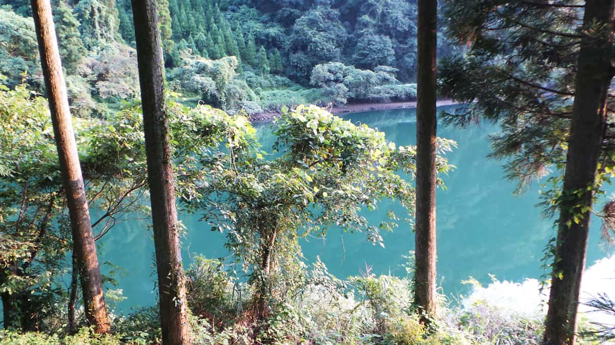 Top 10 Kyūshū : le parc naturel de Yabegawa