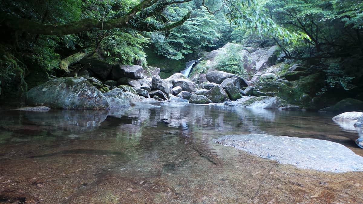 Top 10 Kyūshū : l'île de Yakushima