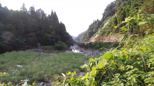 Forest therapy ou forêt-thérapie dans le parc naturel de Yabegawa, Kyūshū 