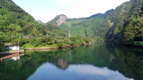 Forest therapy ou forêt-thérapie dans le parc naturel de Yabegawa, Kyūshū 