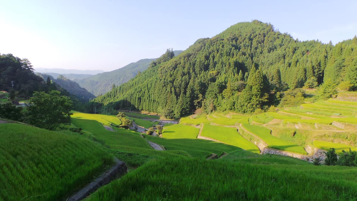 Top 10 Kyūshū : les rivières en terrasse d'Ukiha
