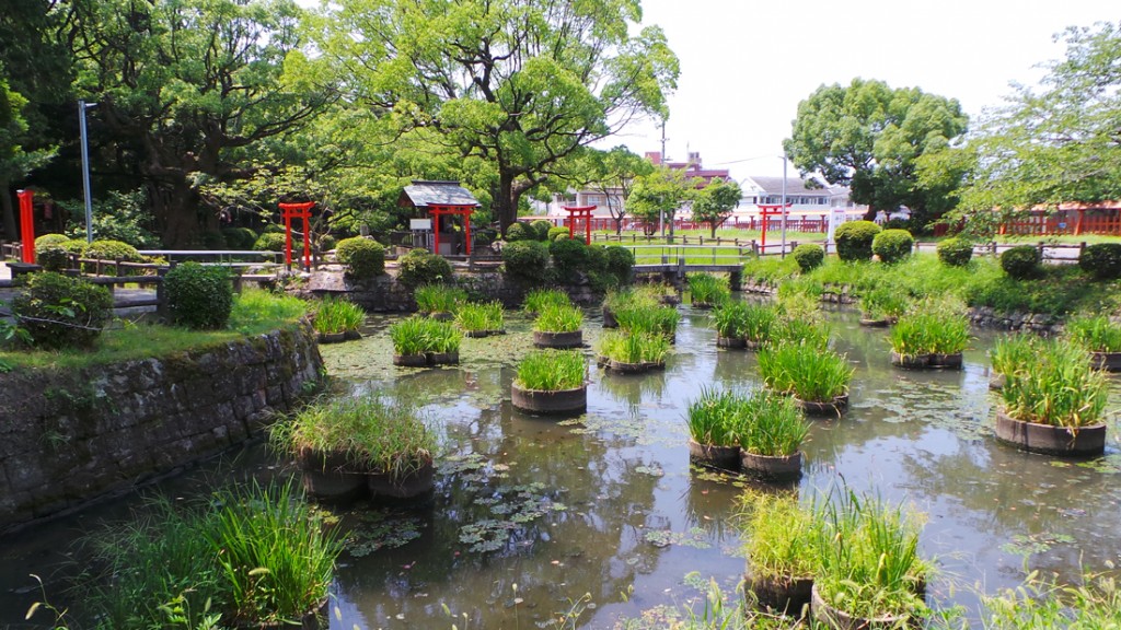 Sanctuaire Kashii à visiter à Fukuoka