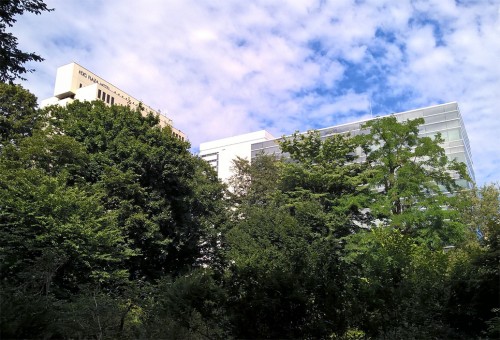 Jardin botanique de Sapporo, Hokkaido, Japon.