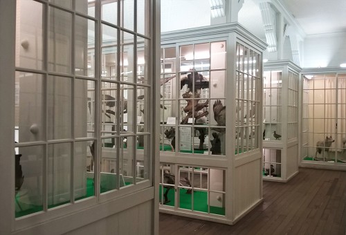 Musée du jardin botanique de Sapporo, Hokkaido, Japon.