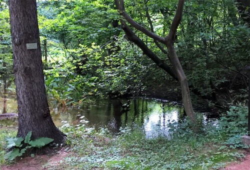 Jardin botanique de Sapporo, Hokkaido, Japon.