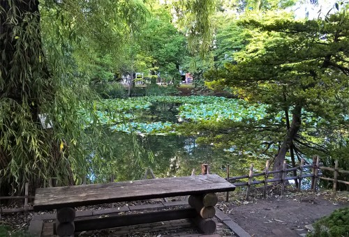 Jardin de l'ancien bureau gouvernemental d'Hokkaido, Sapporo, Japon.