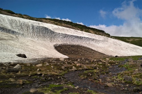 Rivière de neige dans la montagne Asahidake, parc Daizetsuzan, Hokkaido, Japon.
