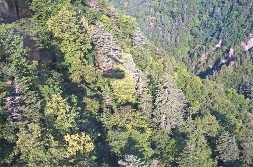 Vue du haut de la montagne Asahidake, parc Daizetsuzan, Hokkaido, Japon.