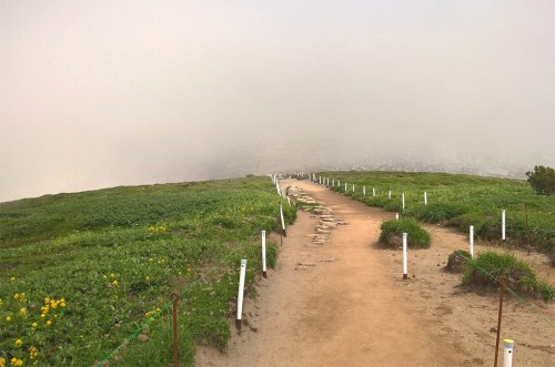 Sentier de randonnée de la montagne Asahidake, parc Daizetsuzan, Hokkaido, Japon.