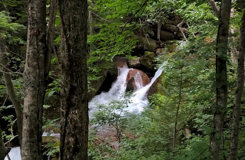 Sentier de randonnée momijidani, village onsen de Sounkyo, Hokkaido, Japon. 