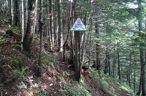 Sentier de randonnée panorama dai, village onsen de Sounkyo, Hokkaido, Japon. 