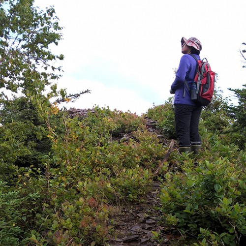 Sentier de randonnée panorama dai, village onsen de Sounkyo, Hokkaido, Japon. 