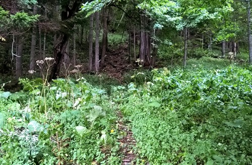Sentier de randonnée panorama dai, village onsen de Sounkyo, Hokkaido, Japon. 