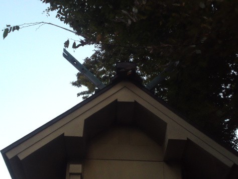 Connaître le sexe de la divinité sacrée.