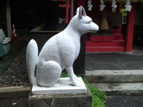 Renard gardien d'un sanctuaire shinto 