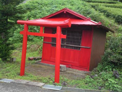 Torii, portails à l'entrée des sanctuaires shinto