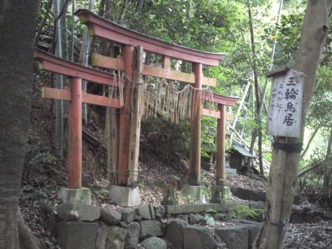 Torii, portail sacré à l'entrée des sanctuaires shinto