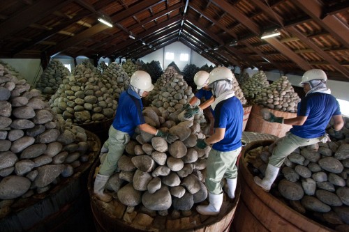 Okazaki : Histoire et savoir-faire de la ville de Tokugawa Ieyasu.