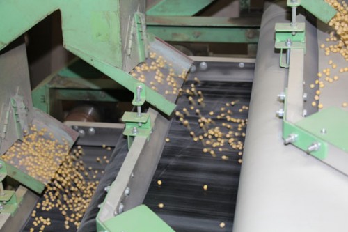 Fabrication du Hatcho Miso dans une manufacture traditionnelle d'Okazaki, Japon.