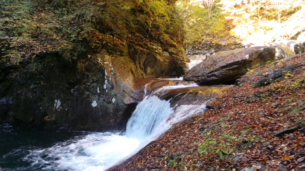 Les gorges de Nishizawa : une perle inconnue à 2h de Tokyo
