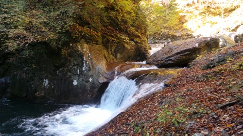 Les gorges de Nishizawa : une perle inconnue à 2h de Tokyo