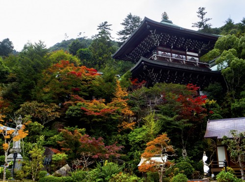Sanctuaire Daisho-in de l'île de Miyajima, pendant koyo, Japon.