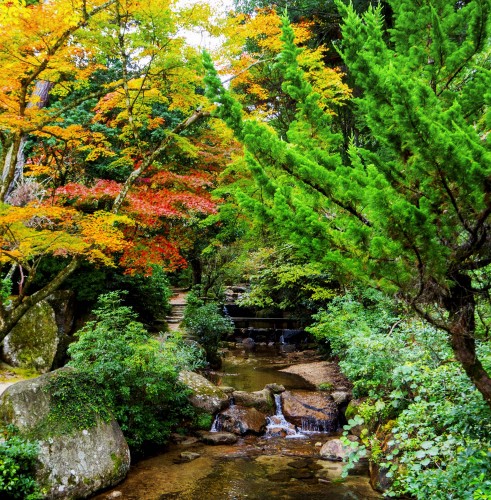 Parc Momijidani pendant koyo, île de Miyajima, Japon.