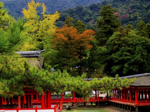 Sanctuaire Itsukushima visite incontournable sur l'île de Miyajima, Japon.