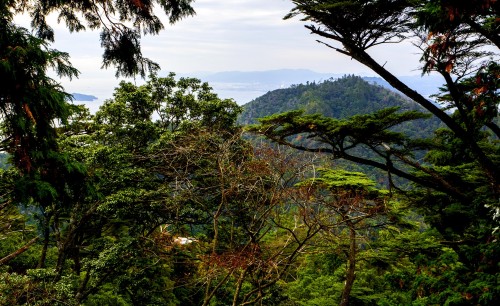 Vue sur la mer Seto du sommet du mont Misen, Miyajima, Japon.