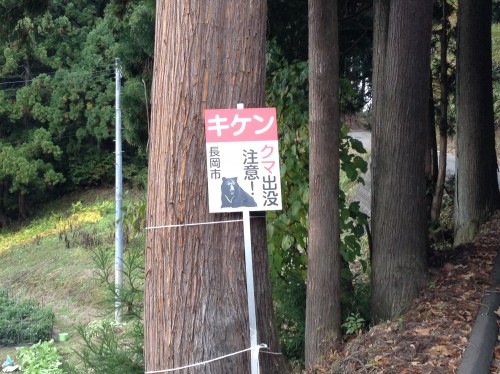 Station de ski du joli village rural de Yamakoshi, Japon.