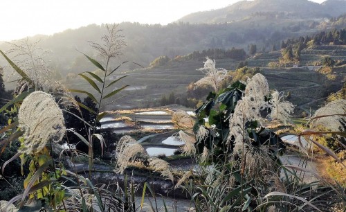Joli village rural de Yamakoshi, Japon.