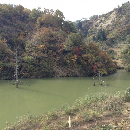 Joli village rural de Yamakoshi, Japon.