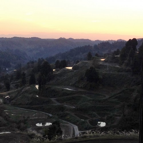 Rizières en terrasse, dans le joli village rural de Yamakoshi, Japon.