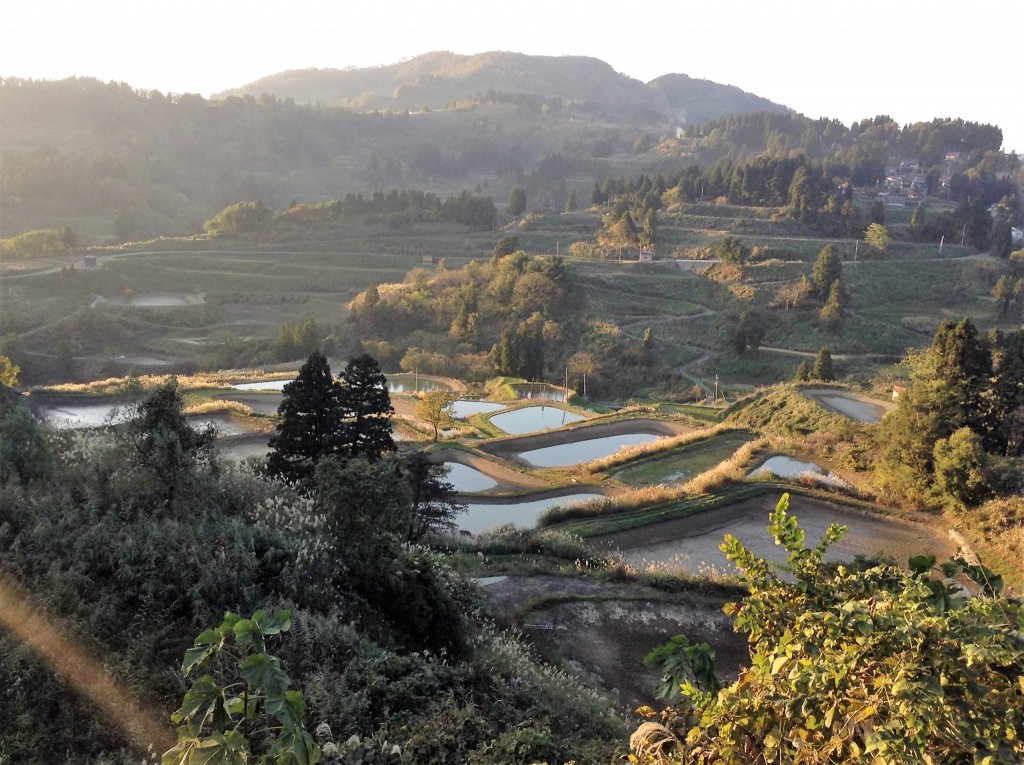 Yamakoshi : à la découverte de ce village rural à l’histoire étonnante !