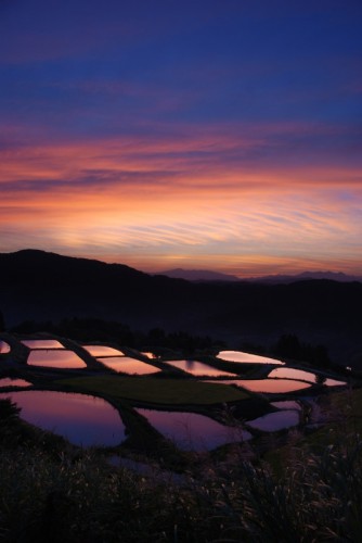 Coucher de soleil sur les rizières du village de Yamakoshi, Niigata, Japon.