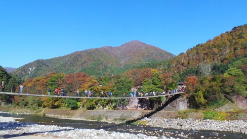 Pont suspendu permettant de rejoindre le musée en plein air.