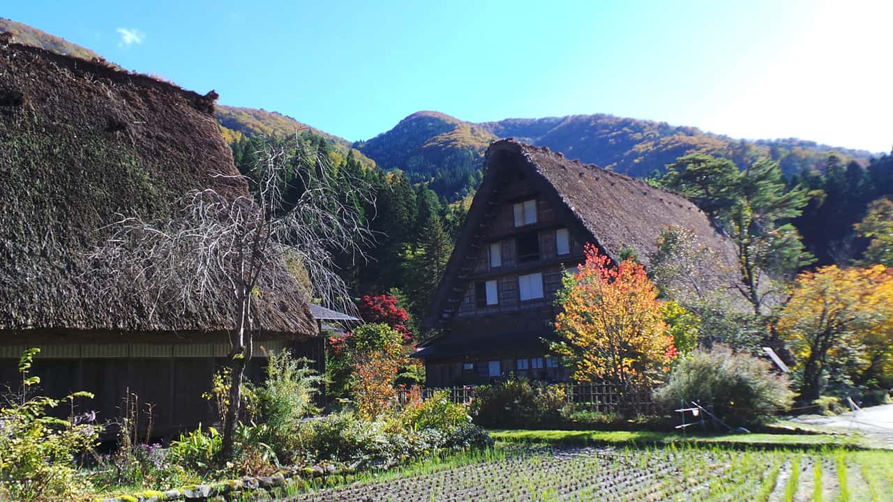 Shirakawa-gō : un village enchanteur classé au patrimoine mondial de l’UNESCO