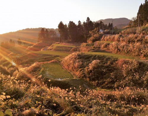 Magnifique paysage du village de Yamanoshi, Niigata, Japon.