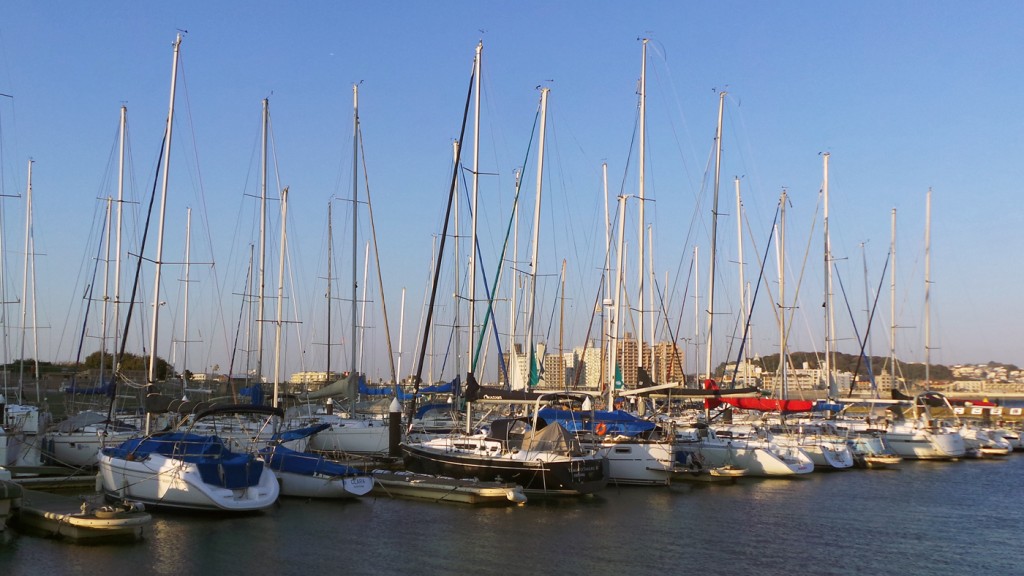 Le port de plaisance d’Enoshima se prépare à accueillir les J.O. de 2020