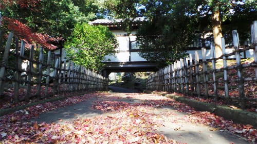 Joli jardin du temple Yugyō-ji de Fujisawa, près de Tokyo, Japon.