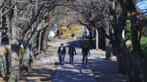 L'allée du temple Yugyō-ji de Fujisawa, près de Tokyo, Japon.