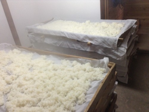 Principales étapes de fabrication du saké de la brasserie Masuichi à Obuse, Nagano.