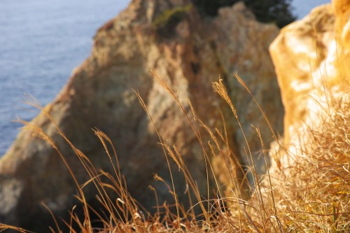 Coucher du soleil sur le parc Koganezaki dans la péninsule d'Izu, Shizuoka.