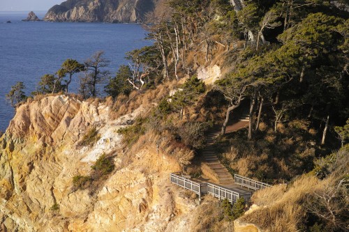 Le parc Koganezaki dans la péninsule d'Izu, Shizuoka.