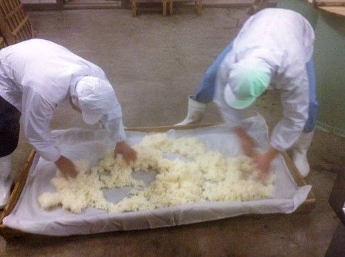 Principales étapes de fabrication du saké de la brasserie Masuichi à Obuse, Nagano.