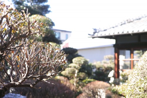 Visite de la maison Meijiya Shoyu, petite fabrique de sauce soja artisanal bio à Hamamastu, Shizuoka