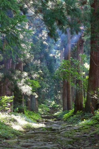 Randonnée à Iiyama