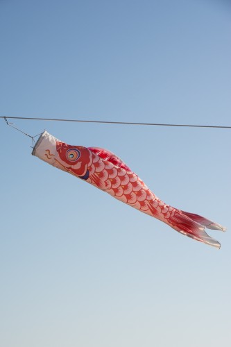 La carpe rouge representant la mère pendant le festival des enfants Kodomo No Hi à Tatebayashi